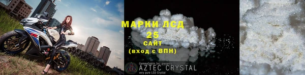 прущие грибы Богданович