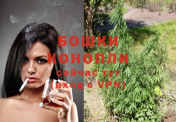 прущие грибы Богданович