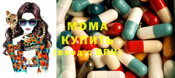 прущие грибы Богданович