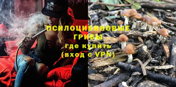 mdpv Богородицк